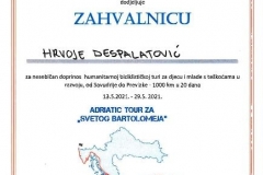 090 - HRVOJE DESPALATOVIĆ