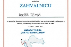 096 - BISERKA DŽEPINA