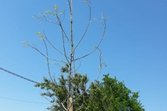 fca2a112-b8c9-4f80-9f45-d1768ccafb0b