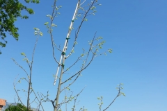 fe40dfc1-10ad-4d0e-b94c-4c20ef64b822