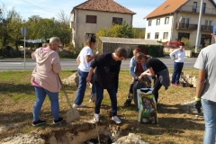 f3515fcf-7ca3-4052-bf64-39645061e0a9