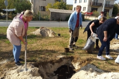 ff379fb1-8196-4a62-af1f-a38974495dac