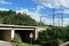 KORACIMA-DO-ZDRAVLJA-55