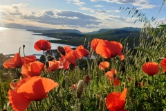 20210517 - RIJEKA - SENJ - RUTA -  (34)