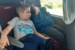 20220518 - VRLO GLADNA GUSJENICA (31)