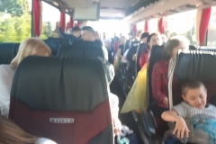 20220518 - VRLO GLADNA GUSJENICA (32)