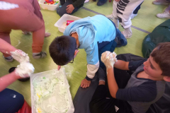 ZAJEDNO-U-RAZLICITOSTI-32