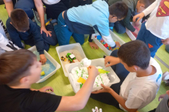 ZAJEDNO-U-RAZLICITOSTI-36