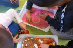 ZAJEDNO-U-RAZLICITOSTI-42